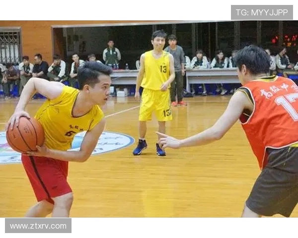 成都篮球队的节奏与风格探讨聚焦于篮球运动的魅力与发展