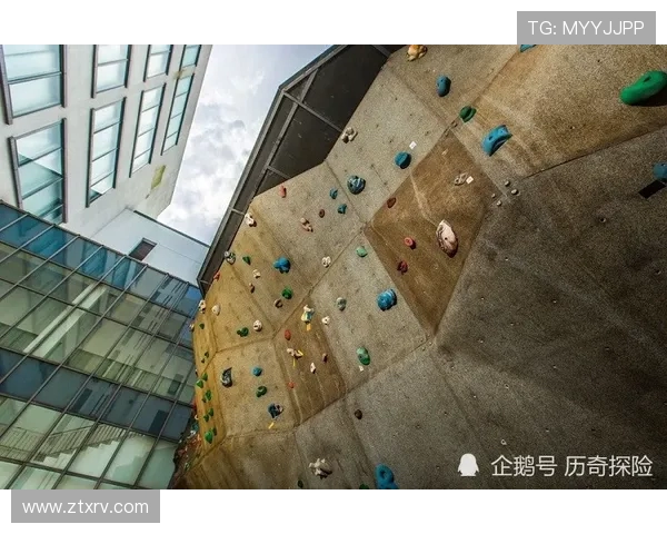 深圳攀岩队意识对比深度解析与发展潜力探讨 深圳攀岩队意识对比深度解析与发展潜力探讨