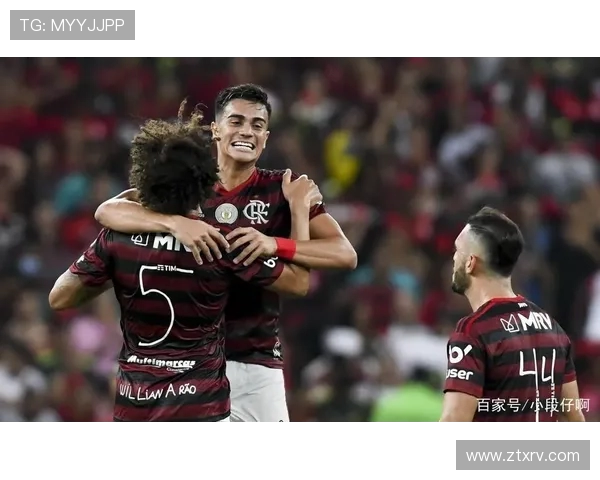 弗拉门戈与巴拉纳的激烈对决揭示巴西足球的魅力与竞争力