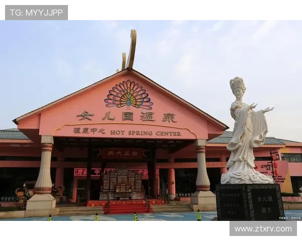 苏伟的奋斗历程与人生哲学探索：从平凡到卓越的心路历程