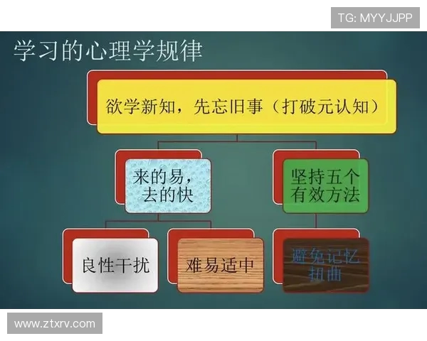 北京篮球队心理素质深度对比分析及其对比赛表现的影响探讨 北京篮球队心理素质深度对比分析及其对比赛表现的影响探讨