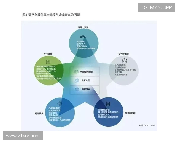 北京网球队转型之路：机遇与挑战并存的竞技新篇章