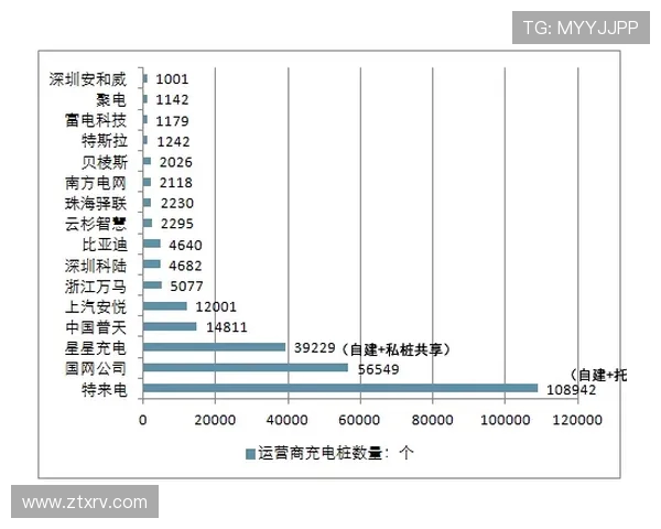 南京足球队运营策略深度分析与市场发展前景探讨