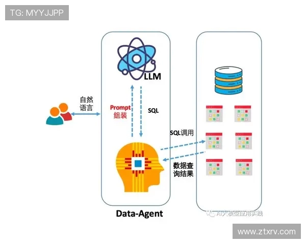 数据分析揭示WE团队成员心理素质的多维表现与影响因素探讨