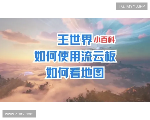 杭州滑板队勇闯世界滑板锦标赛的奋斗与荣耀之路